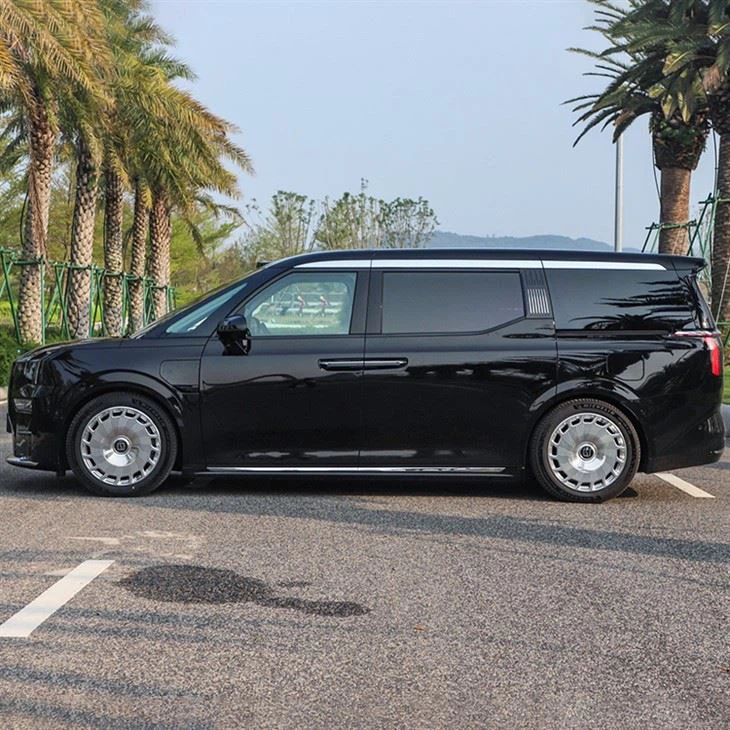  Zeekr 009 Medium and large MPV